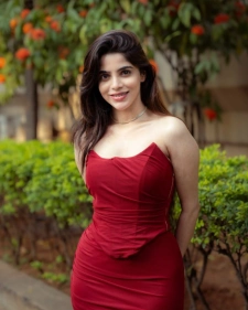 Jaipur Escort Services